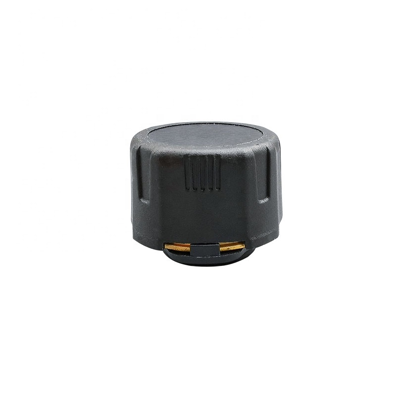 Normal Temperature External 8m - Temperature Sensor ulasan dan harga